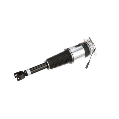 LUFTFEDERBEIN Arnott AS3031 38