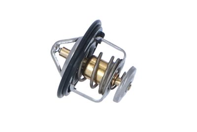 TERMOSTAT LICHID RACIRE NRF 725143 19