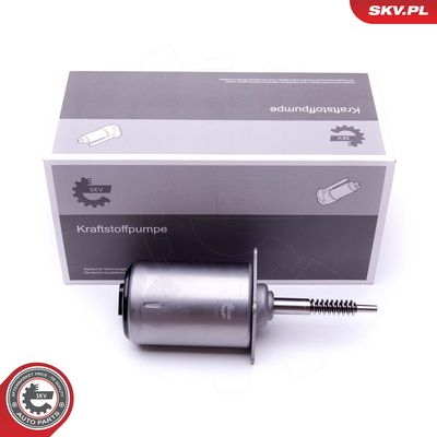 Stellelement, Exzenterwelle (variabler Ventilhub)