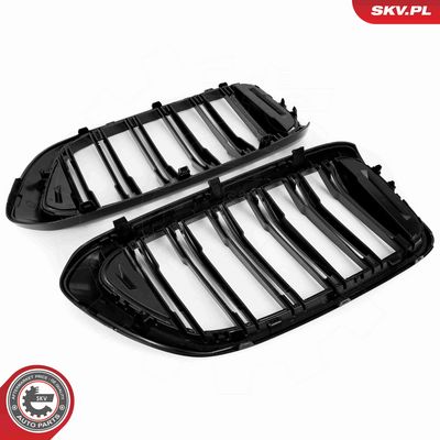 GRILA RADIATOR ESEN SKV 66SKV210 5