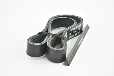 CUREA TRANSMISIE CU CANELURI FEBEST 881286L700 42