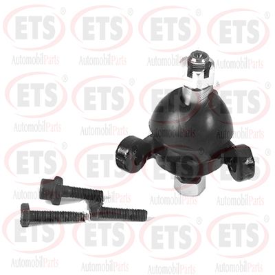 Шарнири ETS 54.BJ.547