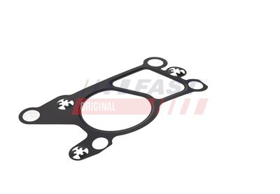 GARNITURA VENTIL AGR FAST FT50623 14