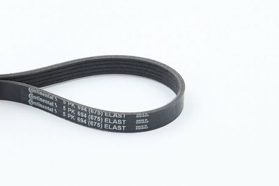 CONTINENTAL CTAM Keilrippenriemen