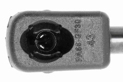 GASFEDER KOFFER-/LADERAUM VAICO V220402 1
