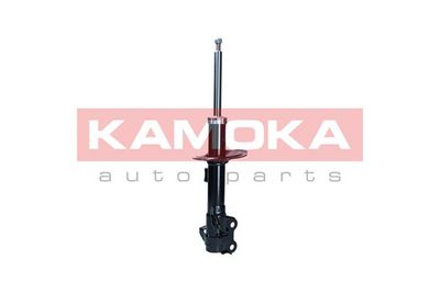 Shock Absorber 2001137