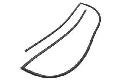 Afdichting voorruit Voor past: RENAULT MEGANE II 09.02-