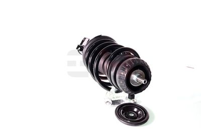 ANSAMBLU TELESCOP ARC GH GH353382C01 22