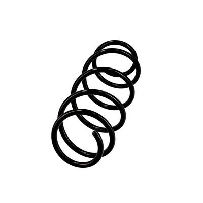 ARC SPIRAL EIBACH R10001 2