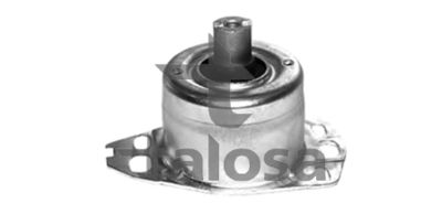 SUPORT TRANSMISIE AUTOMATA