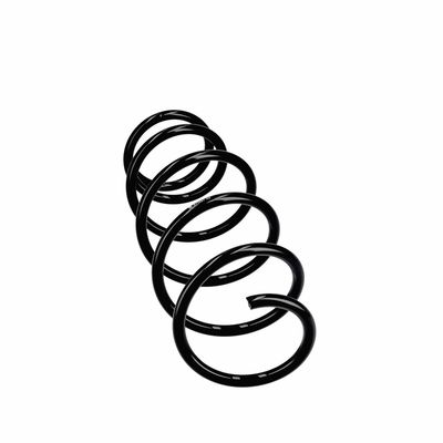 ARC SPIRAL EIBACH R11021 24