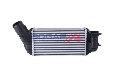 INTERCOOLER COMPRESOR BOGAP P4220113