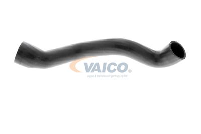 FURTUN RADIATOR VAICO V203329 2