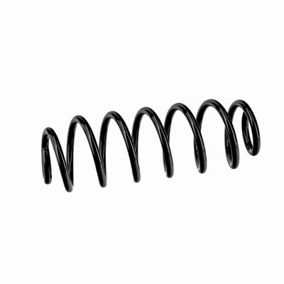 ARC SPIRAL EIBACH R10795 18