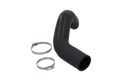 FURTUN EAR SUPRAALIMENTARE