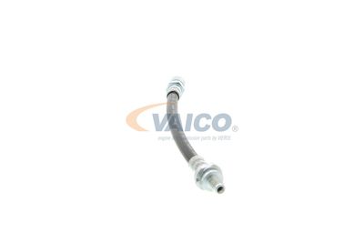 FURTUN FRANA VAICO V404107 46