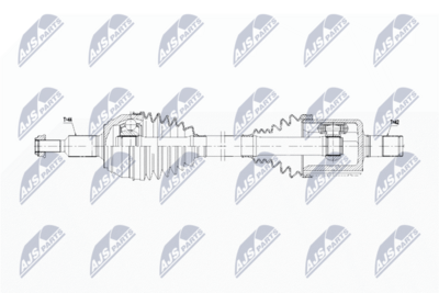 NPW-WW-196