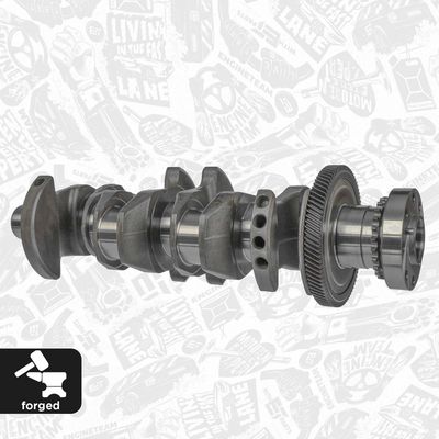 ARBORE COTIT ET ENGINETEAM HK0221 1