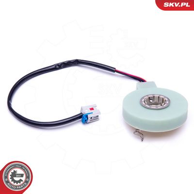 Vairavimo kampo jutiklis