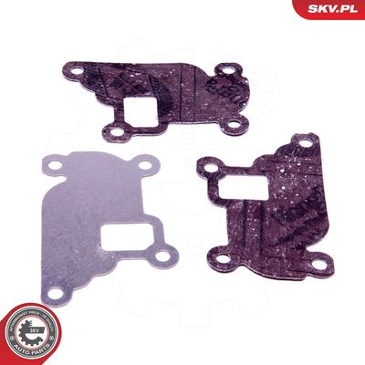 Remonto komplektas, AGR vožtuvas