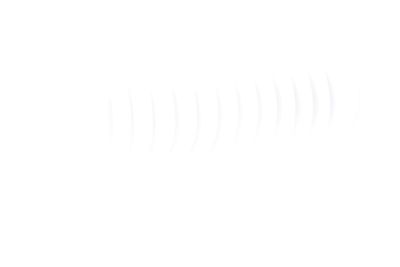 BURDUF CAUCIUC DIRECTIE FEBEST SZRKBSX4 24