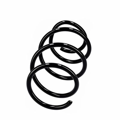 ARC SPIRAL EIBACH R10721 14