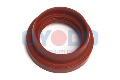 Sandariklis, kardaninis velenas