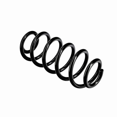 ARC SPIRAL EIBACH R10811 22