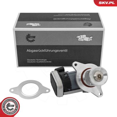 AGR-Ventil ESEN SKV 14SKV309