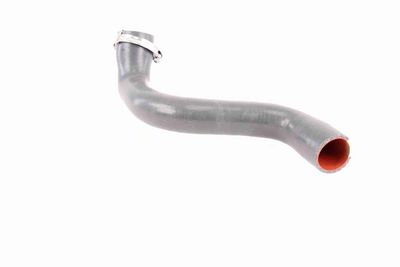 FURTUN EAR SUPRAALIMENTARE VAICO V460823 6