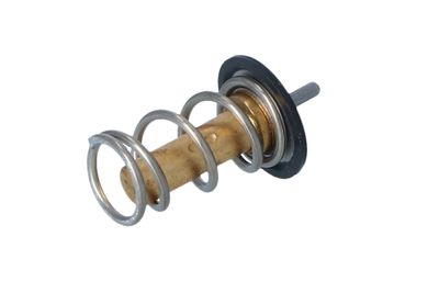 TERMOSTAT LICHID RACIRE NRF 725069 20