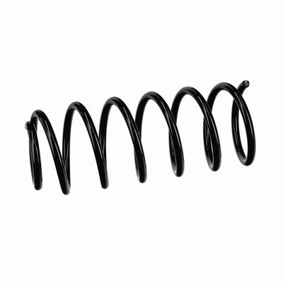 ARC SPIRAL EIBACH R10971 18