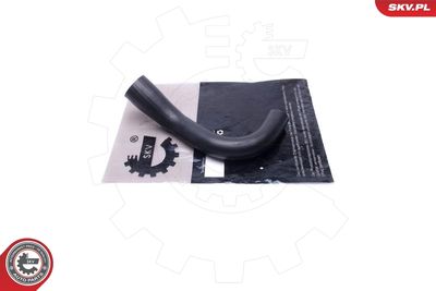 FURTUN EAR SUPRAALIMENTARE