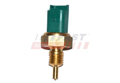 SENZOR TEMPERATURA CHIULASA