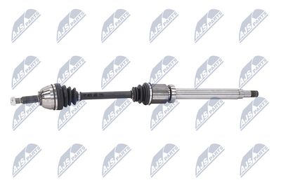 PLANETARA NTY NPWFR056 24