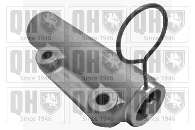 AMORTIZOR VIBRATII CUREA DISTRIBUTIE