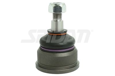 ARTICULATIE SARCINA/GHIDARE