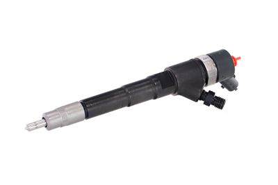 INJECTOR REMANTE 002003000031R 6