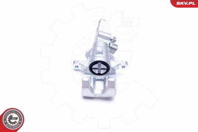 Brake Caliper 42SKV573