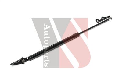 Dujinė spyruoklė, bagažinė