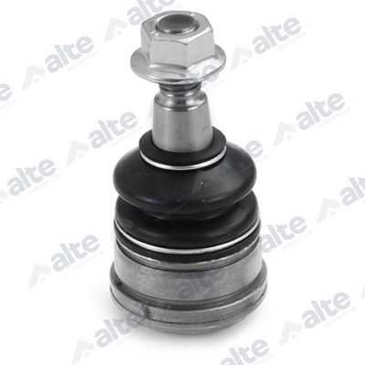 ARTICULATIE SARCINA/GHIDARE