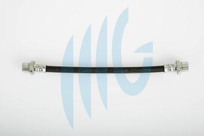 Тормозной шланг RICAMBIFLEX GM 02060287 для CITROËN C1