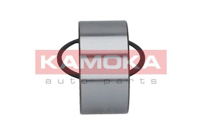 Wheel Bearing Kit 5600020