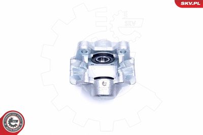 Brake Caliper 42SKV733