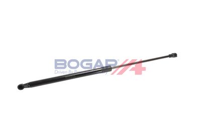 AMORTIZOR PORTBAGAJ BOGAP R5134108
