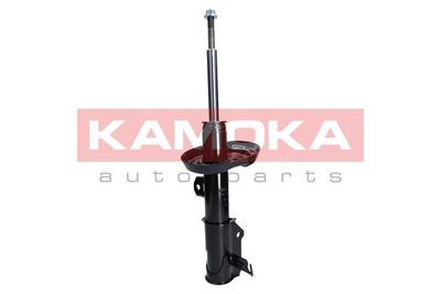 Shock Absorber 2000049