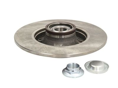 Brake disc Achter Links/Rechts (met ABS ring) past: DS DS 3  CITROEN C3 AIRCROSS I, C3 II, C3 III, C3 PICASSO, C4, C4 CACTUS, C4 I, C4 II, C4 PICASSO I, DS3  PEUGEOT 2008 I, 207, 208 1.0-2.0D 08.00-