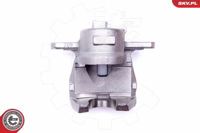 Brake Caliper 45SKV772