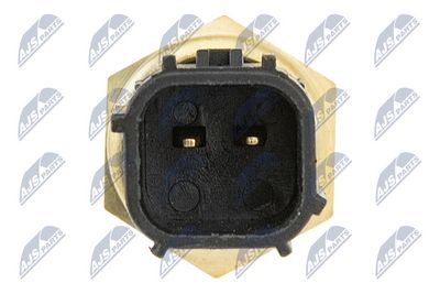 SENZOR TEMPERATURA LICHID DE RACIRE NTY ECTCH001 4