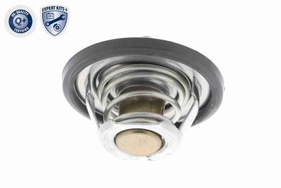 TERMOSTAT LICHID RACIRE VEMO V25991723 8